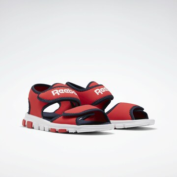 Reebok Sandale in Rot