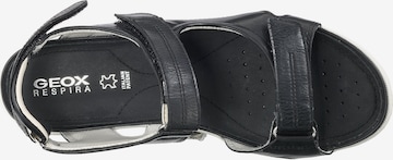 GEOX Sandals 'Vega' in Black