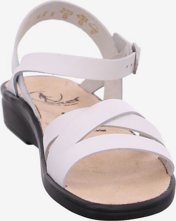 Ganter Sandalen met riem in Roze