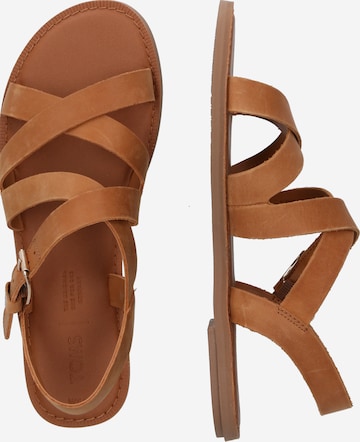 TOMS Sandalen met riem 'Sicily' in Bruin: zijkant