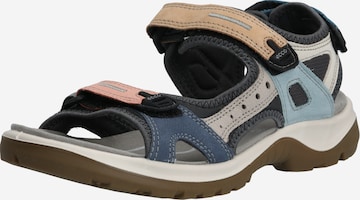 ECCO Hiking Sandals 'Offroad' in Mixed colors: front