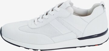 LLOYD - Zapatillas deportivas bajas 'Alfonso' en blanco