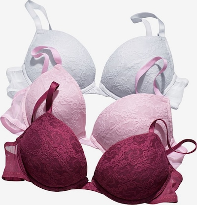 PETITE FLEUR Push-up-BH in beere / rosa / weiß, Produktansicht