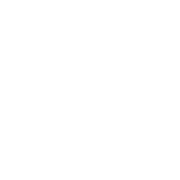 LiVi BERLIN Logo