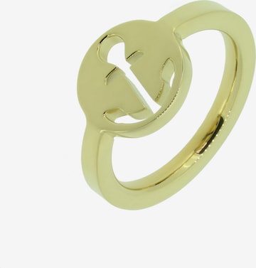 Hafen-Klunker Ring in Gold: front