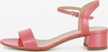 EVITA Sandalen met riem 'Daria' in Roze