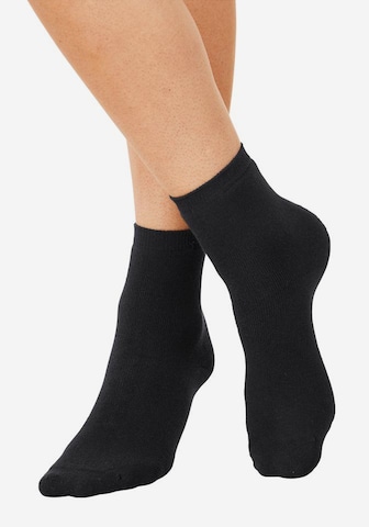 LAVANA Socks in Black: front