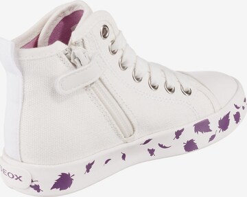 GEOX Sneakers in White