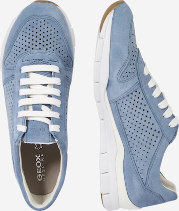 GEOX Sneakers laag 'Sukie' in Blauw