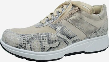 Xsensible Sneakers laag in Bruin: voorkant