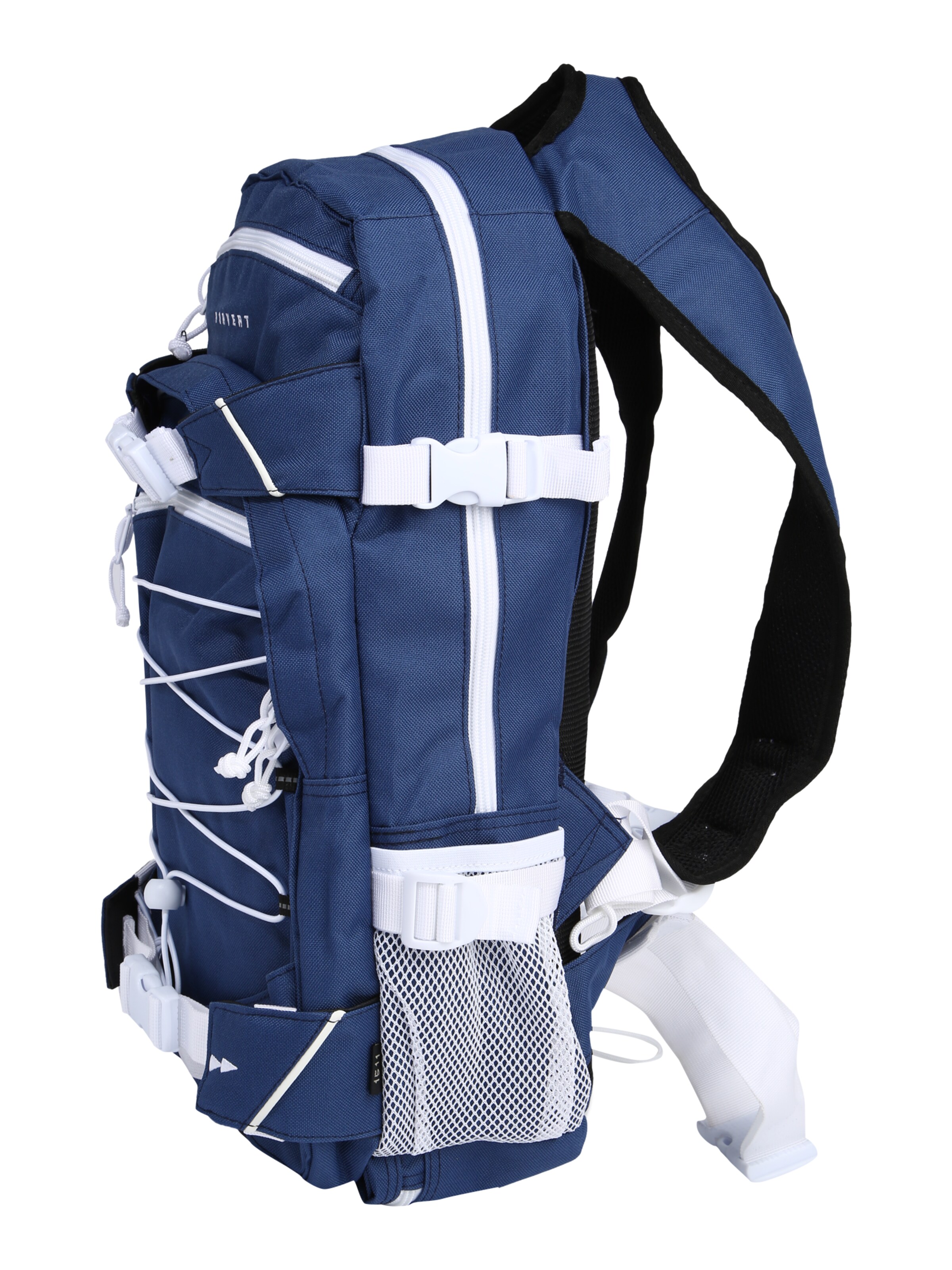 Zaino 'Ice Louis' di Forvert in blu: lato