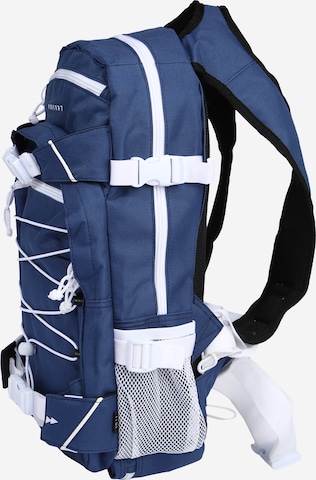 Forvert Backpack 'Ice Louis' in Blue: side