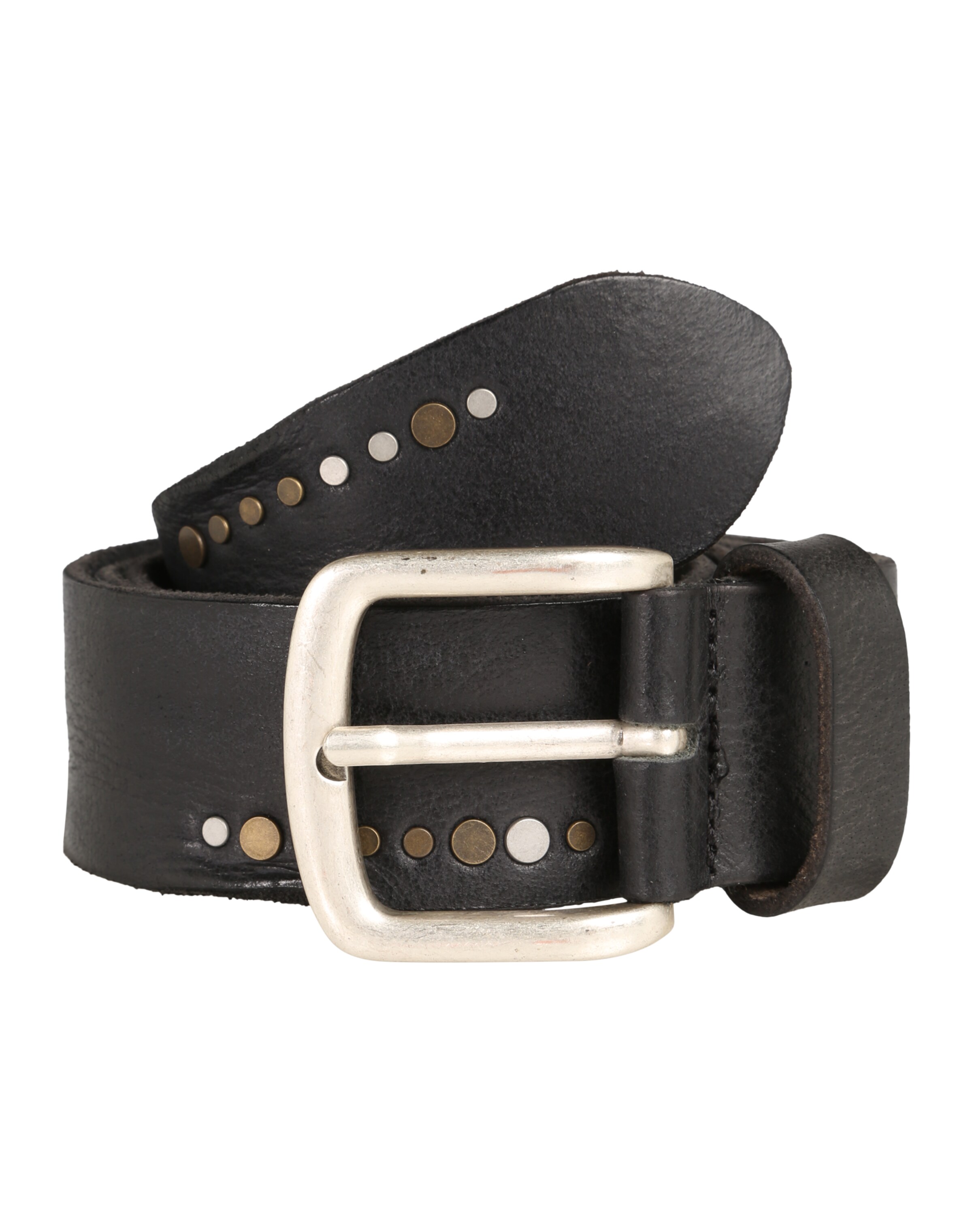 VANZETTI Pas | črna barva: sprednja stran