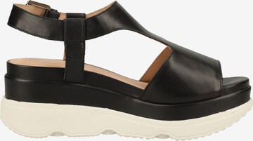 GEOX Sandalen met riem in Zwart