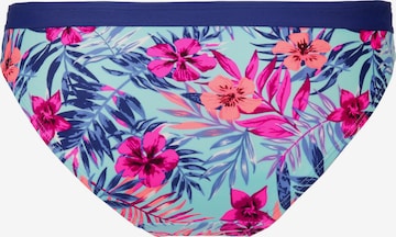 Slip costum de baie de la VENICE BEACH pe albastru