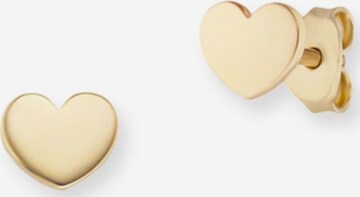 caï Earrings 'Love' in Gold: front