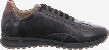 JOSEF SEIBEL Sneaker in Grau