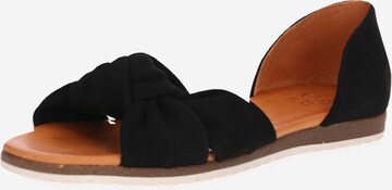 Apple of Eden - Sandalias 'Chelsea' en negro: frente