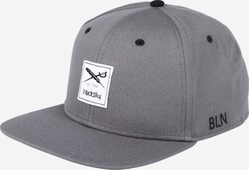 Iriedaily Pet 'Daily Flag 20 Snapback' in Grijs: voorkant