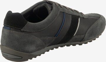 GEOX Sneakers 'Wells' in Grey
