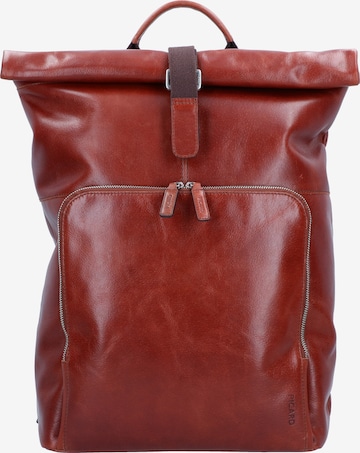 Picard Backpack in Brown: front