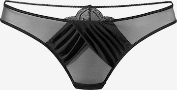 Tanga de la PETITE FLEUR GOLD pe negru: față