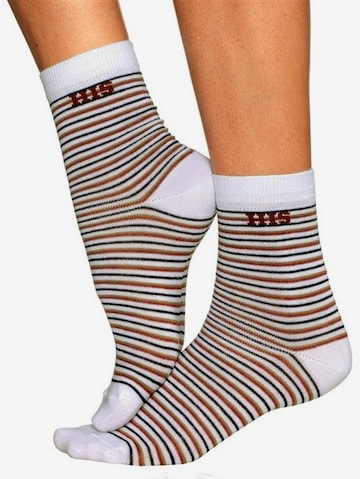 H.I.S Socks in Mixed colors: front