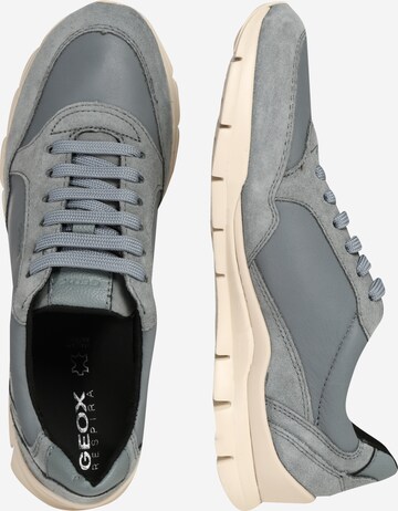 GEOX Sneaker 'Sukie' in Grau