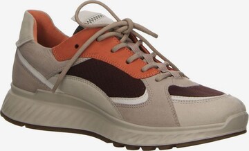 ECCO Sneakers laag in Gemengde kleuren