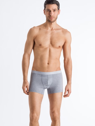 Hanro Boxer shorts in Grey: front