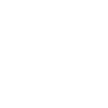 Eivy Logo