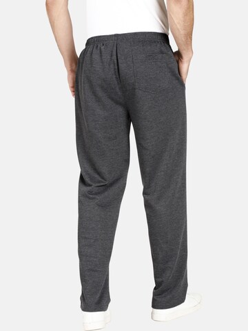 Jan Vanderstorm Regular Pants 'Wenner' in Grey