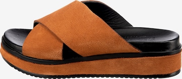 SHABBIES AMSTERDAM Mules in Orange