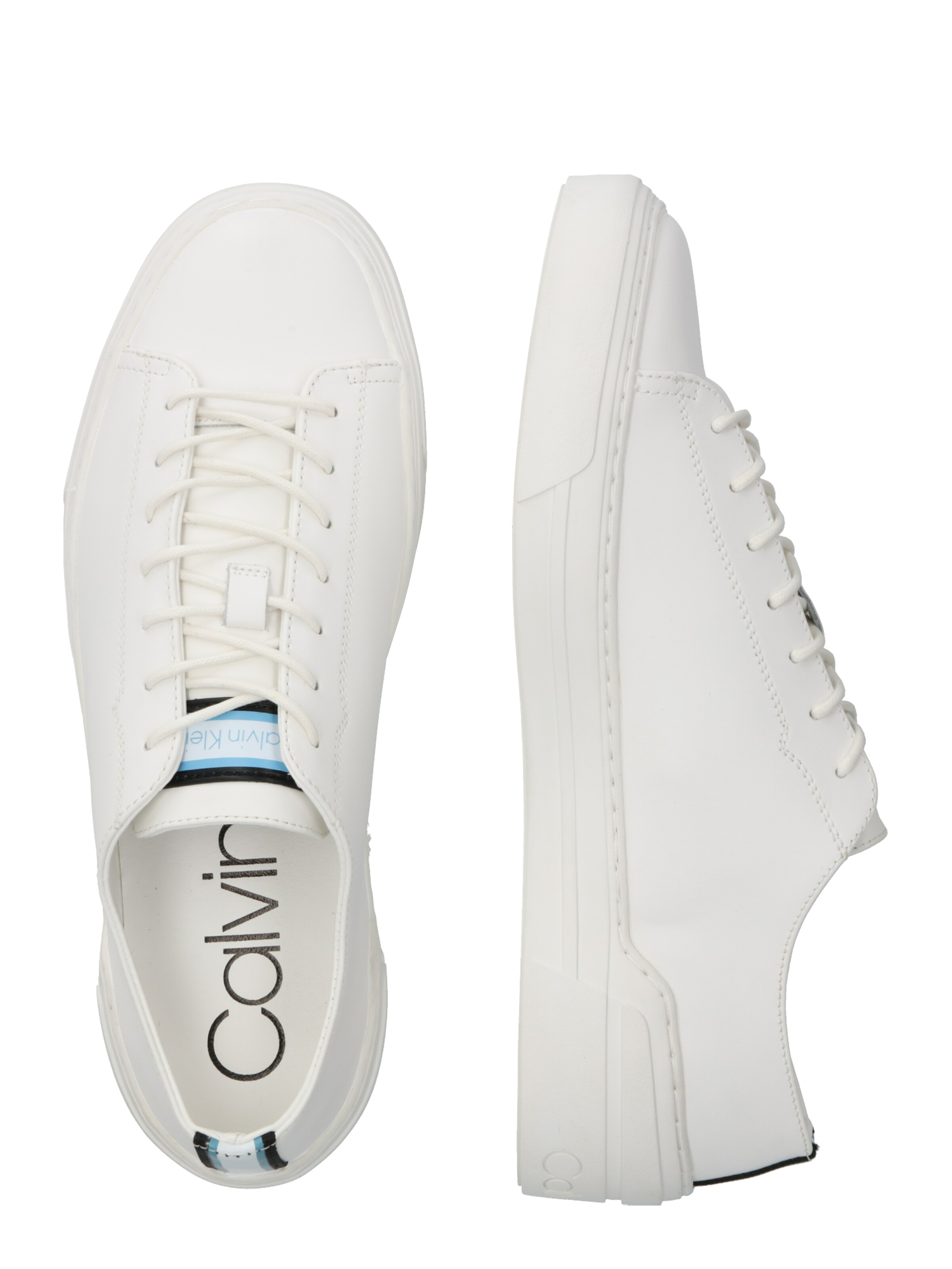 calvin klein octavian