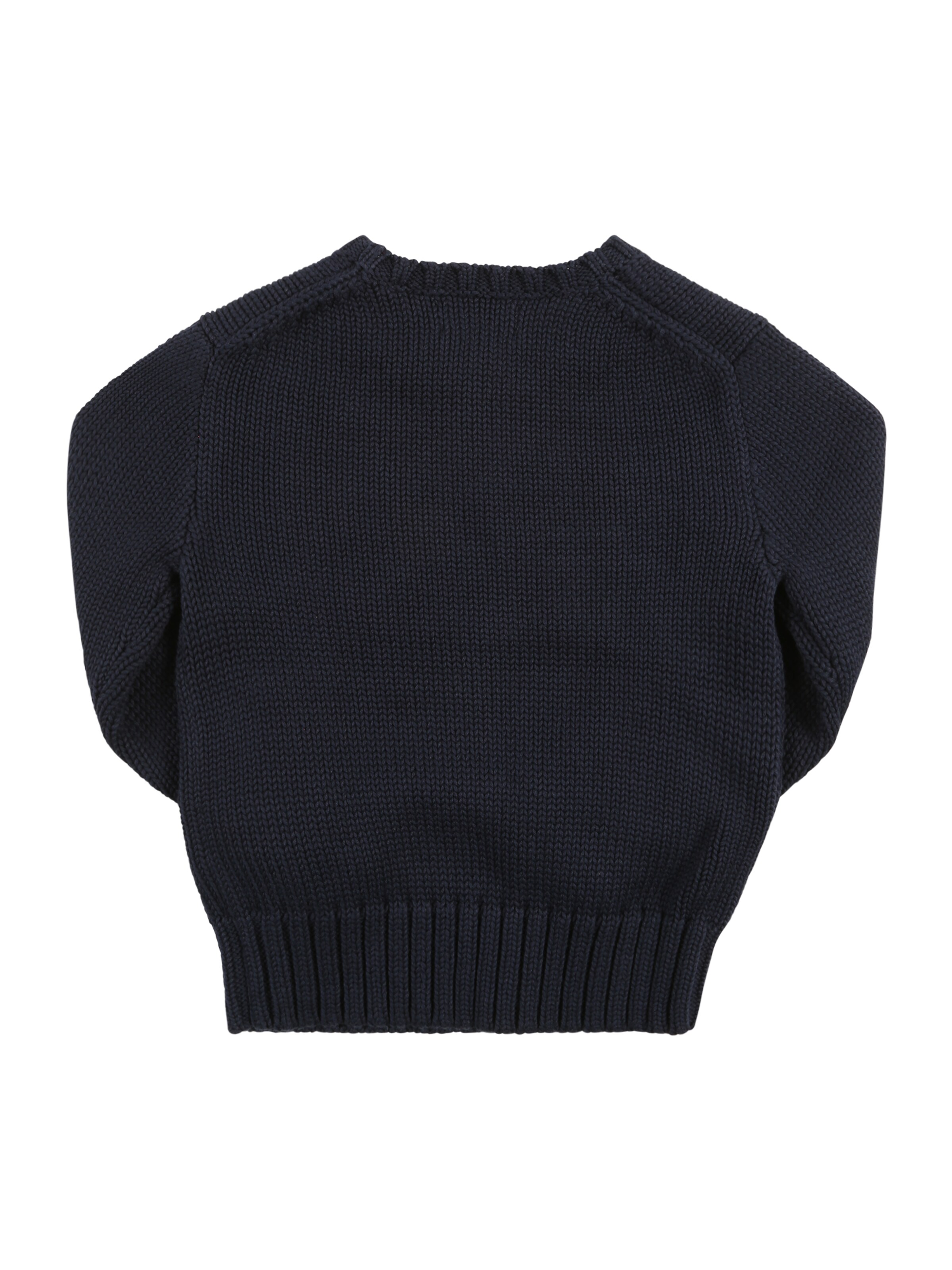Polo Ralph Lauren Sweater 'FLAG' in Blue: back