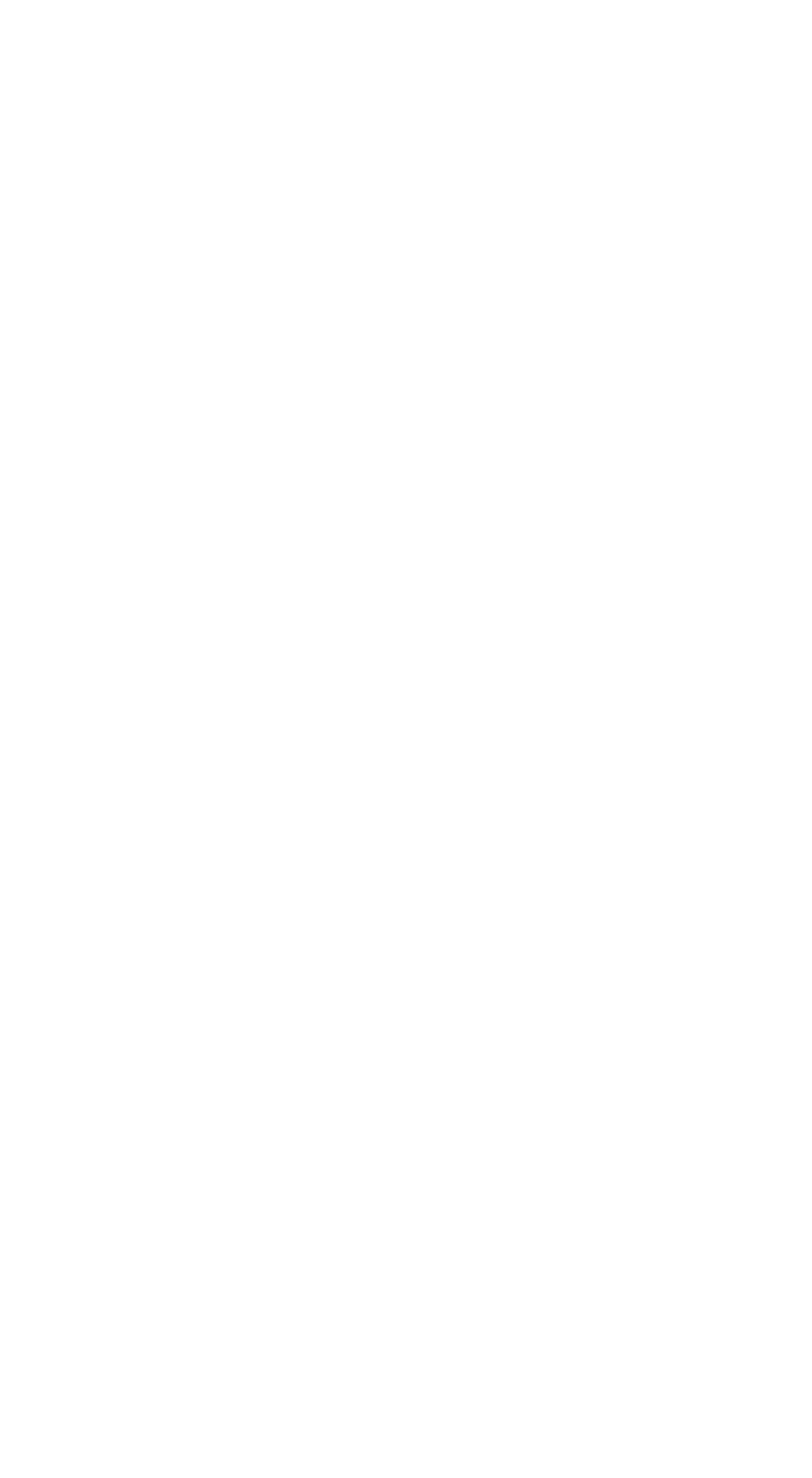 Shoe The Bear Logo