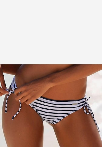 VENICE BEACH Bikini Bottoms 'Summer' in Blue: front