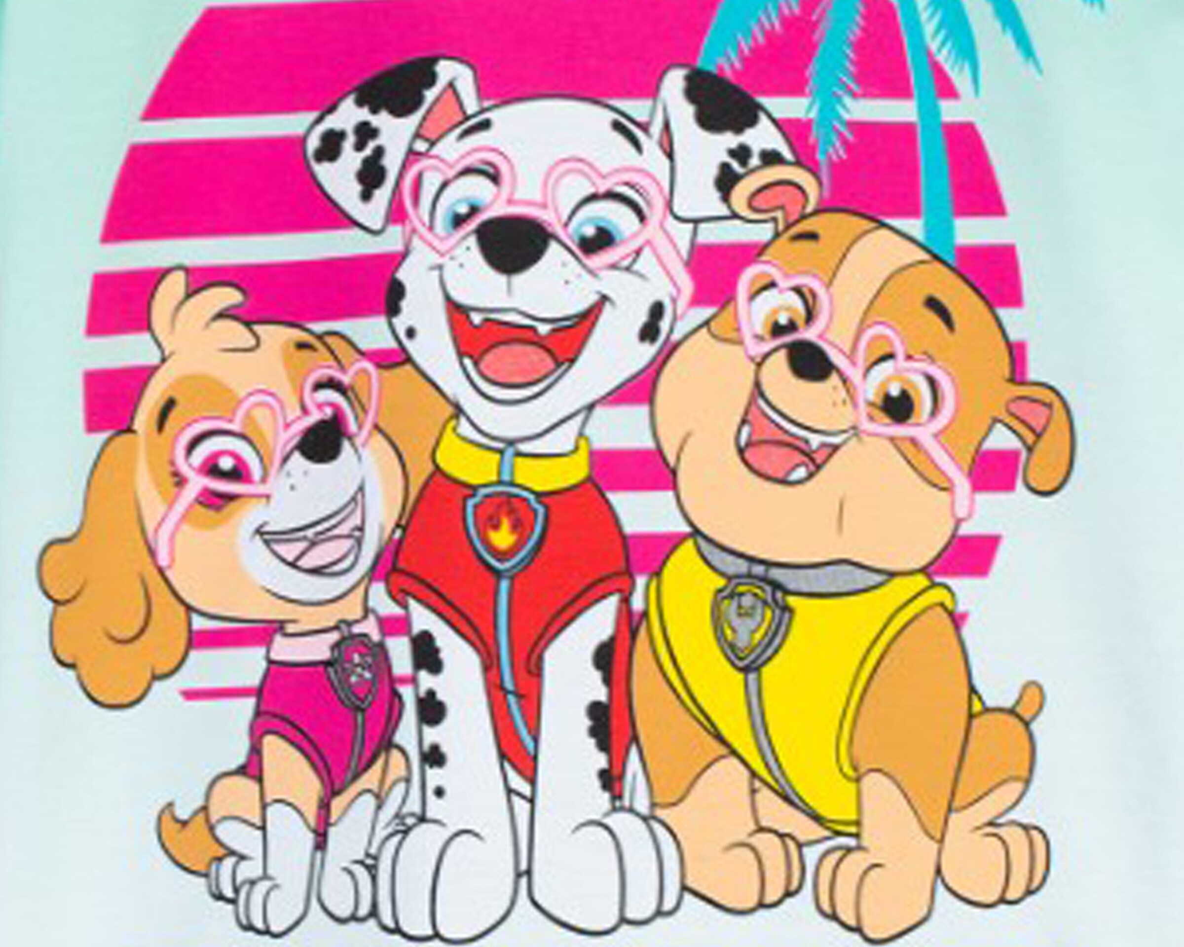 Paw patrol buy online sale
