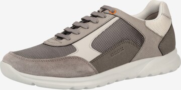 GEOX Sneaker 'Erast' in Grau: predná strana