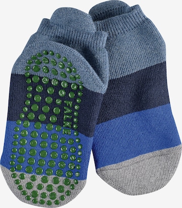 FALKE Socks in Blue