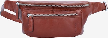 Picard Fanny Pack 'Buddy' in Brown: front