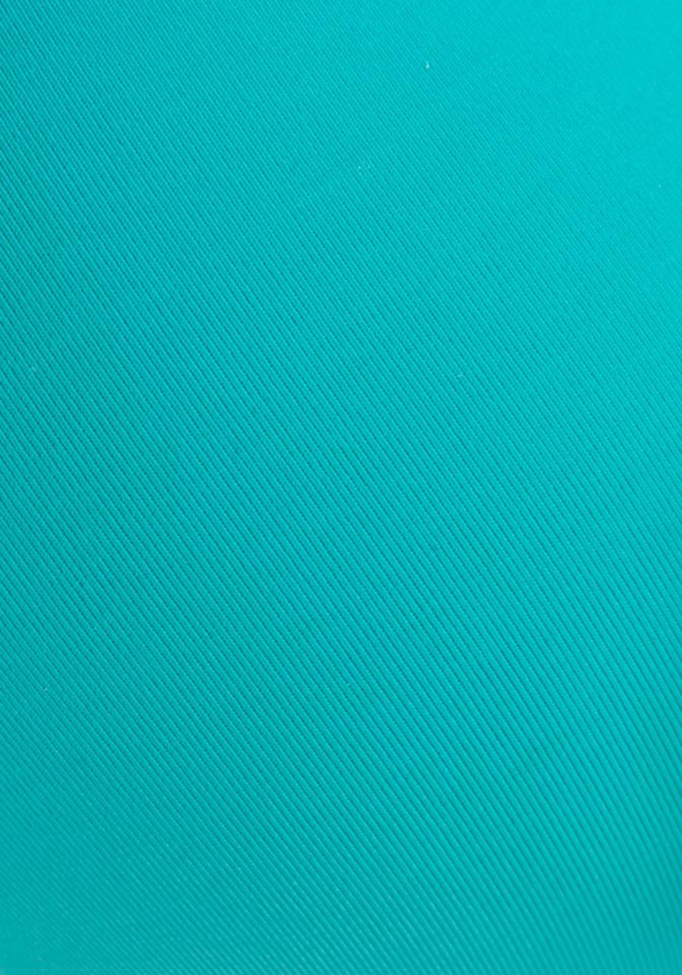 BUFFALO Regular Bikini top in Blue