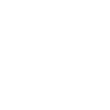DNSK Copenhagen Logo