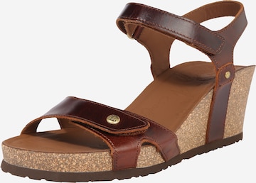 PANAMA JACK Strap Sandals 'Julia Clay' in Brown: front