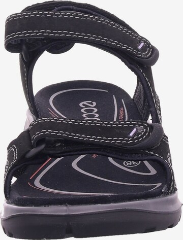 ECCO Hiking Sandals 'Offroad' in Black