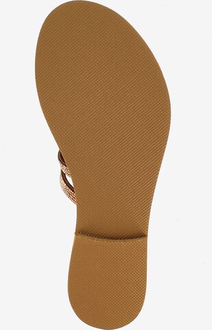 EVITA T-Bar Sandals in Brown
