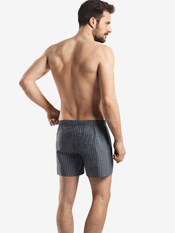 Hanro Boxer shorts in Grey