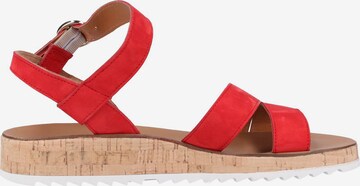 Paul Green Sandalen in Rot