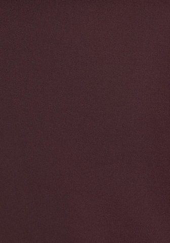 s.Oliver Bikiinipüksid 'Rome', värv pruun