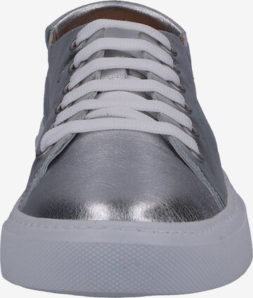 Darkwood Sneakers in Silver